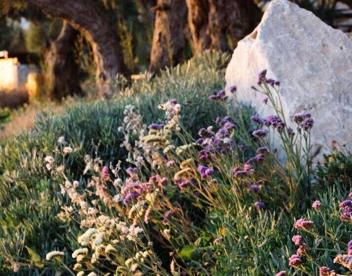 Phāea Cretan Malia, A Member Of Design Hotels