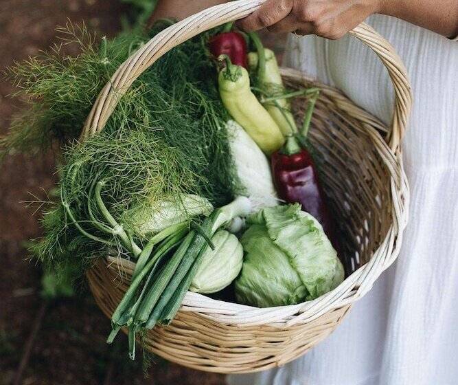 Phāea Cretan Malia, A Member Of Design Hotels