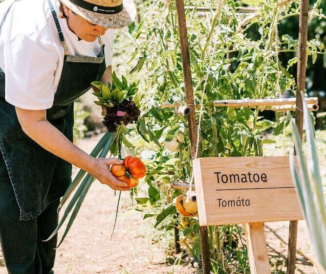 Phāea Cretan Malia, A Member Of Design Hotels