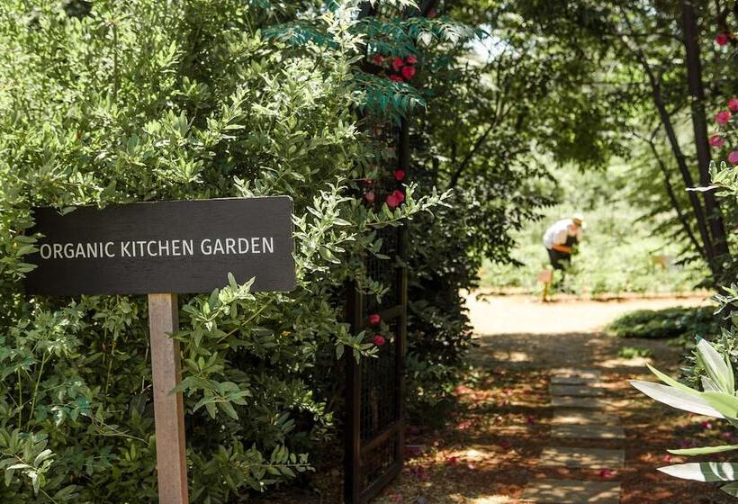 Phāea Cretan Malia, A Member Of Design Hotels