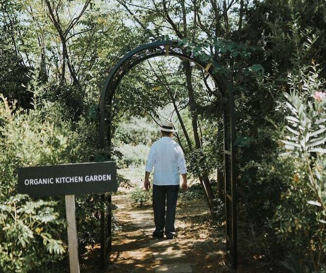 Phāea Cretan Malia, A Member Of Design Hotels