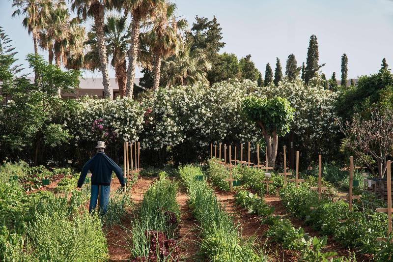 Phāea Cretan Malia, A Member Of Design Hotels