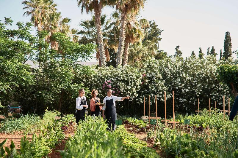 Phāea Cretan Malia, A Member Of Design Hotels