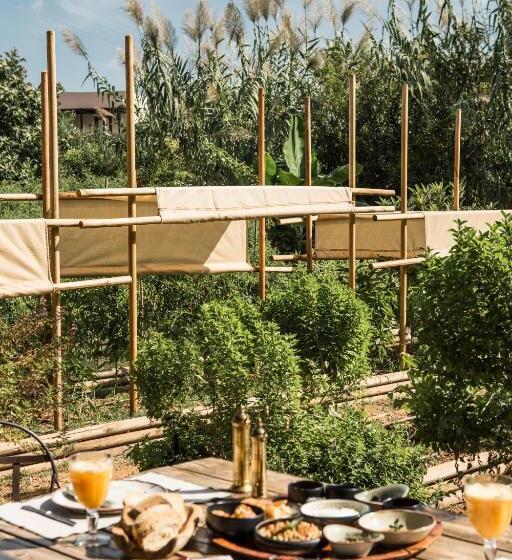 Phāea Cretan Malia, A Member Of Design Hotels