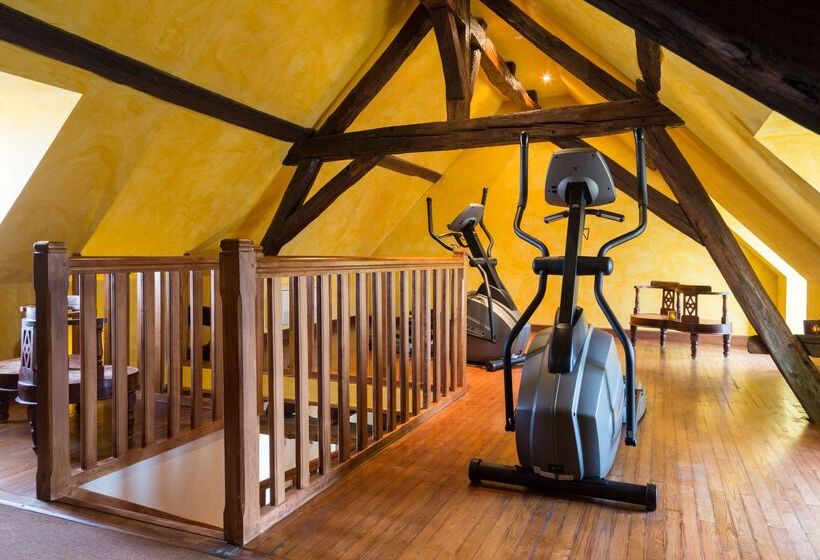 호텔 Hôtel & Spa Du Domaine Des Thômeaux, The Originals Relais