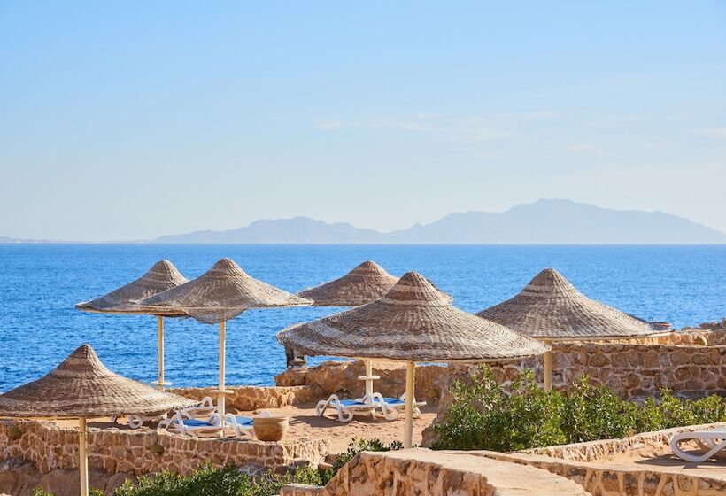 Отель Dreams Vacation Resort  Sharm El Sheikh