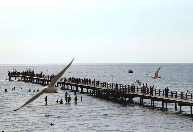 호텔 Falkenberg Strandbad