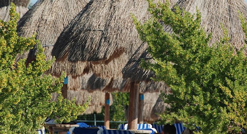 酒店 Grand Sirenis Mayan Beach