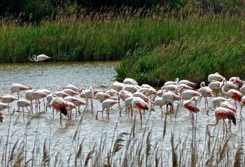 호텔 Hilton Vilamoura As Cascatas Golf Resort & Spa