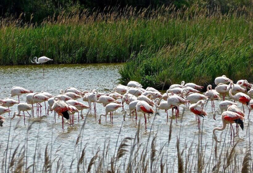 호텔 Hilton Vilamoura As Cascatas Golf Resort & Spa