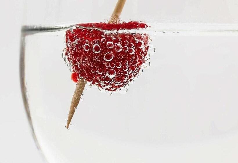 בית מלון כפרי Ibis Styles Vichy Centre