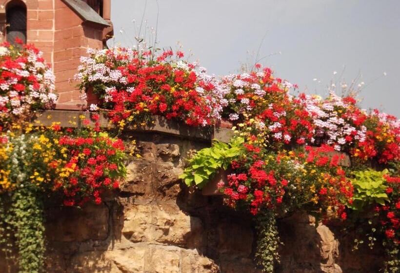 Отель James Vignoble Hôtel, Eguisheim