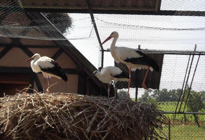 Отель James Vignoble Hôtel, Eguisheim