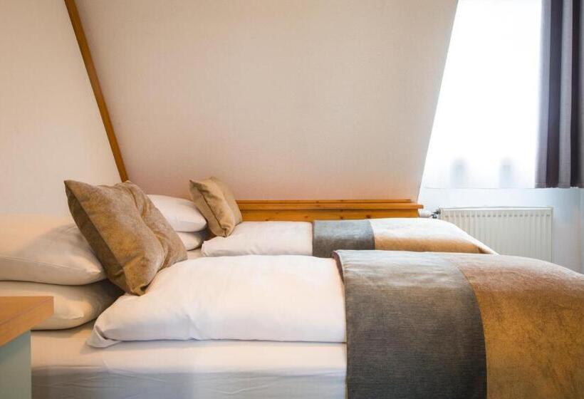 Отель James Vignoble Hôtel, Eguisheim