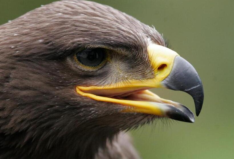 Отель Kilcamb Lodge