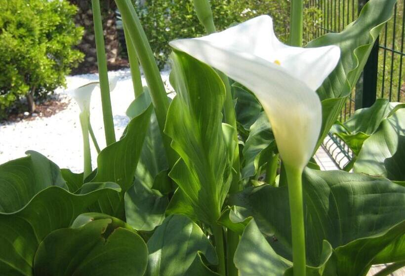 Отель La Borona