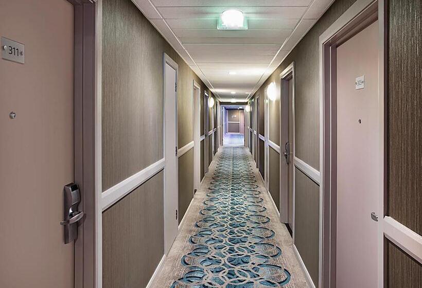 فندق Leonardo Brighton