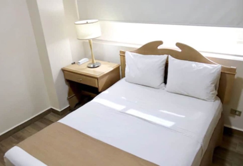 酒店 Madero Express