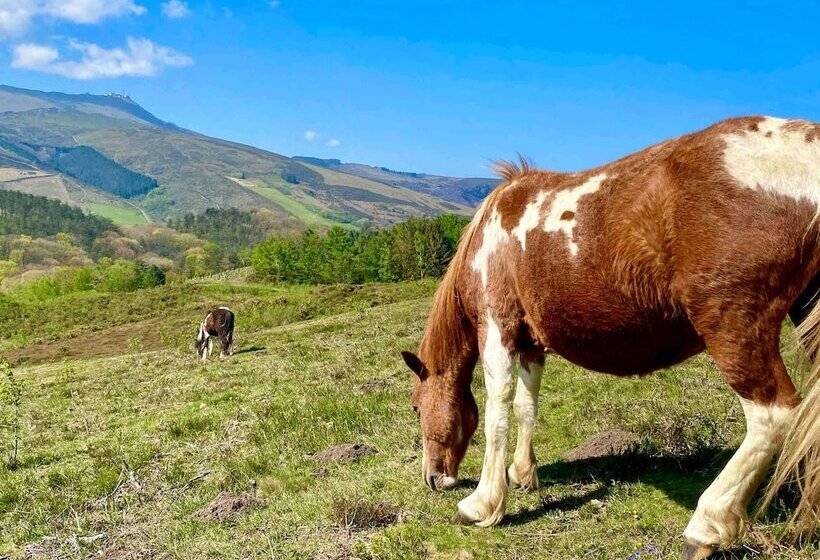 酒店 Mercure Président Biarritz Plage