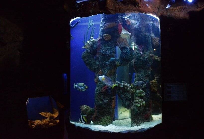 Отель Palacio Azteca