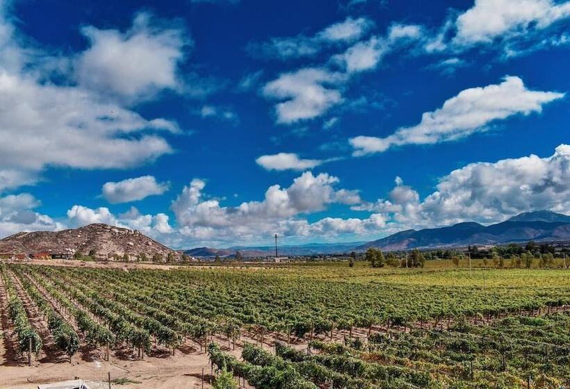 Отель Palacio Azteca