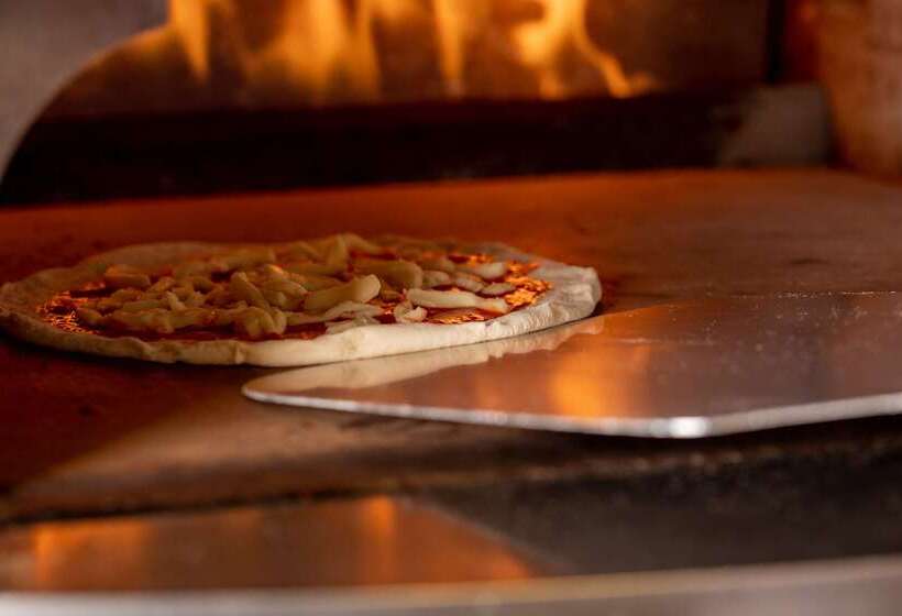 هتل Park Plaza County Hall London