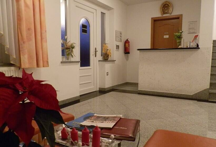 هتل Penzion Kovac