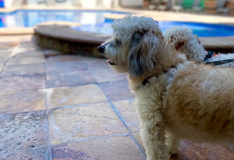 酒店 Quality Inn Mazatlan