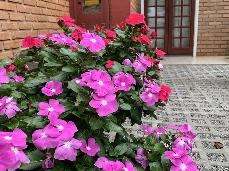 בית מלון כפרי Sao Sebastiao Da Praia