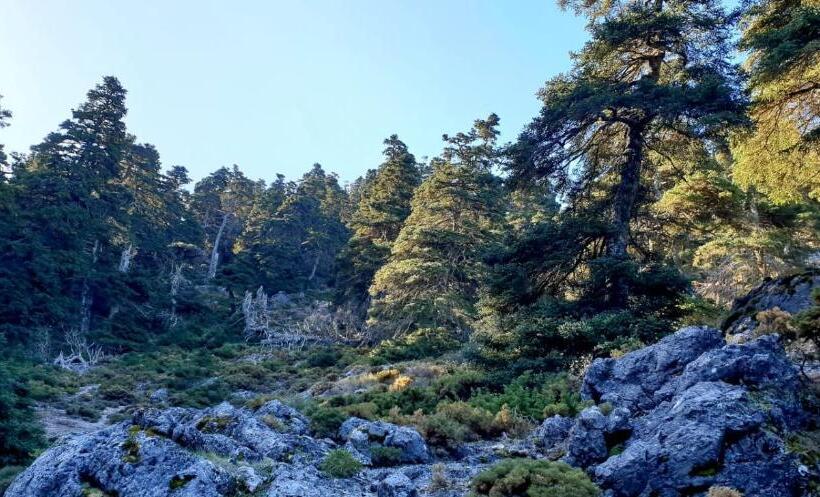 호텔 Sierra Hidalga