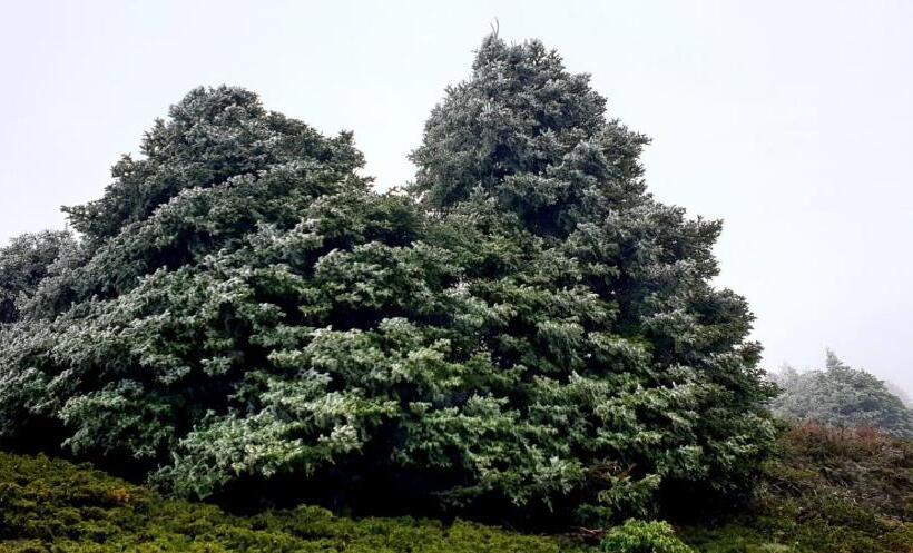 호텔 Sierra Hidalga