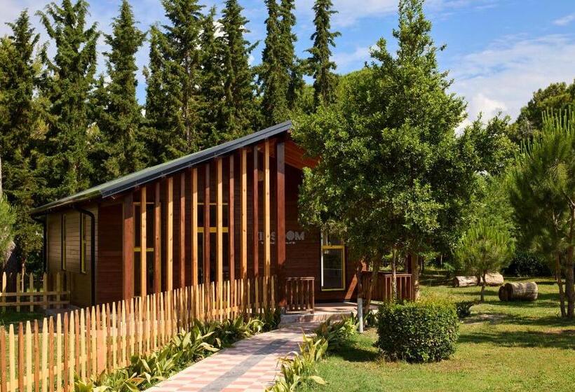 בית מלון כפרי Sol Tropikal Durres