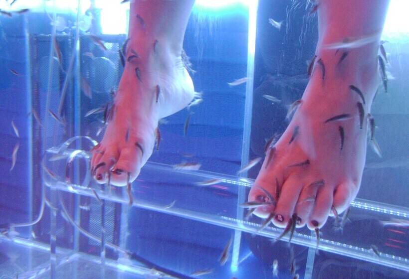 Отель Spa Du Beryl