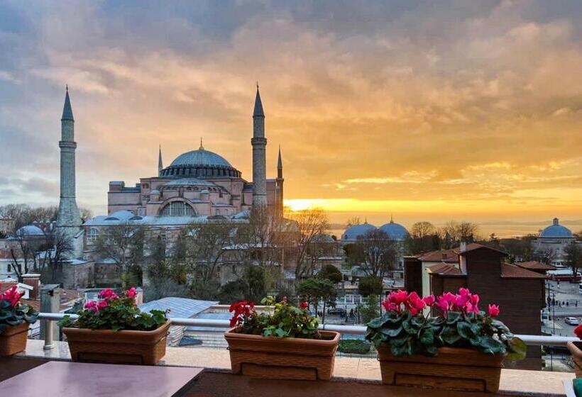 The And Hotel Sultanahmet Special Category