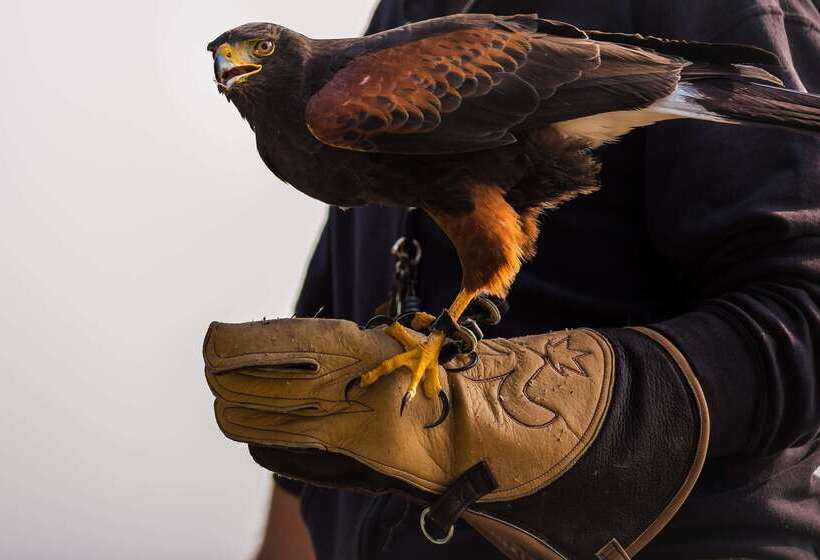 호텔 The Originals Boutique, Hôtel Admiral S, Les Sablesd Olonne