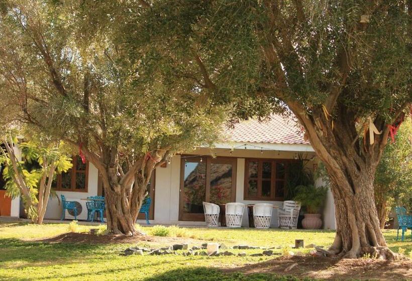 בית מלון כפרי Tripui