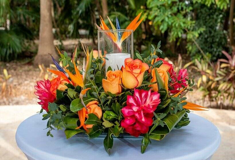 هتل Valentin Imperial Riviera Maya All Inclusive   Adults Only