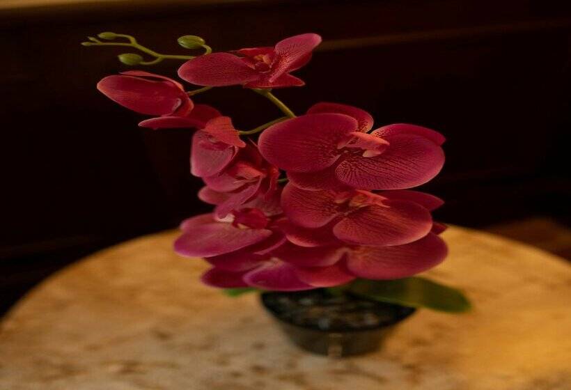 هتل Valentin Imperial Riviera Maya All Inclusive   Adults Only