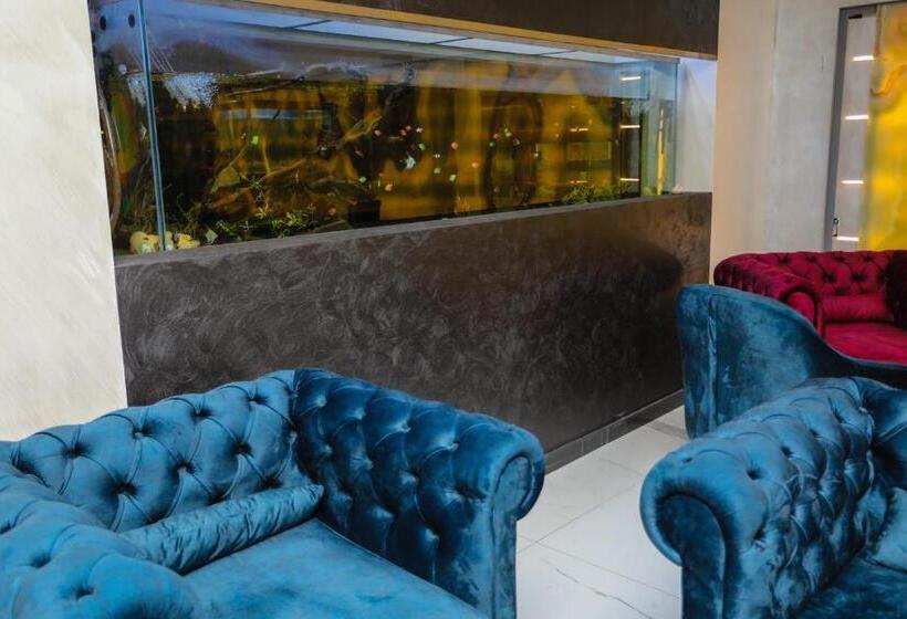 בית מלון כפרי Vivas