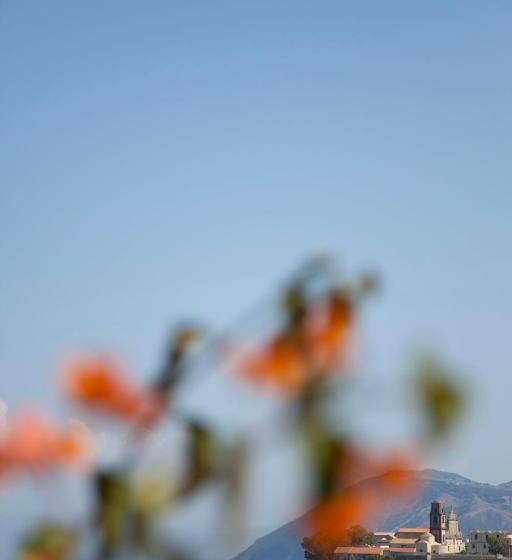 渡假胜地  Villa Enrica   Aeolian Charme