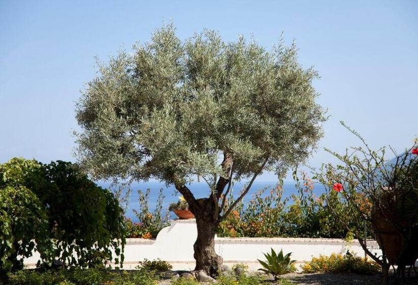 渡假胜地  Villa Enrica   Aeolian Charme