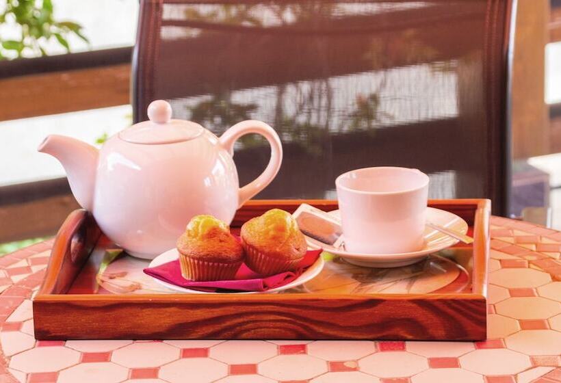 Somlom   Eco Friendly Montseny