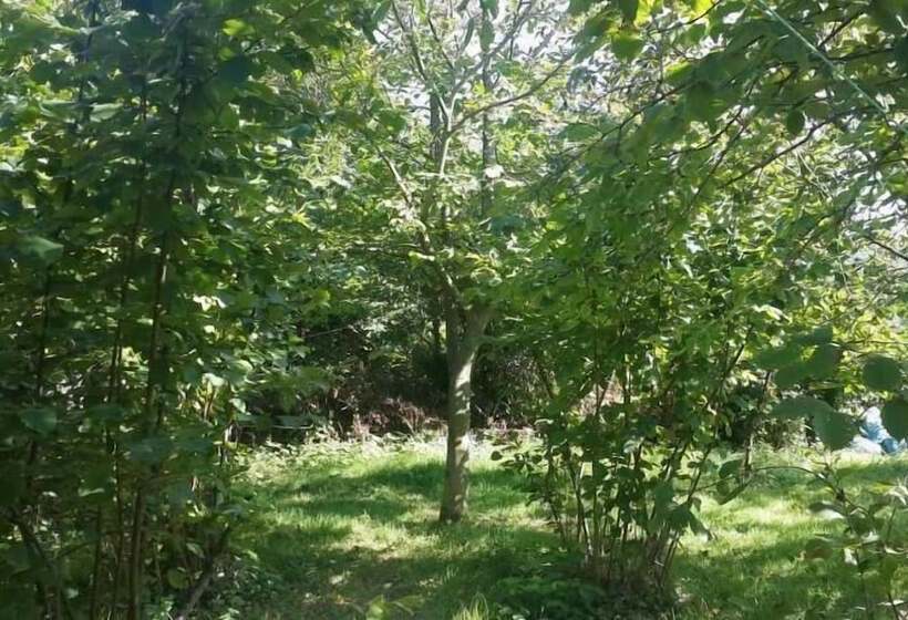 Hotel Cesmi Cakraz   Glamping