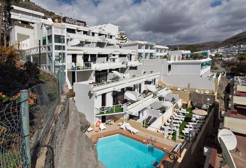 Apartamentos Los Mocanes