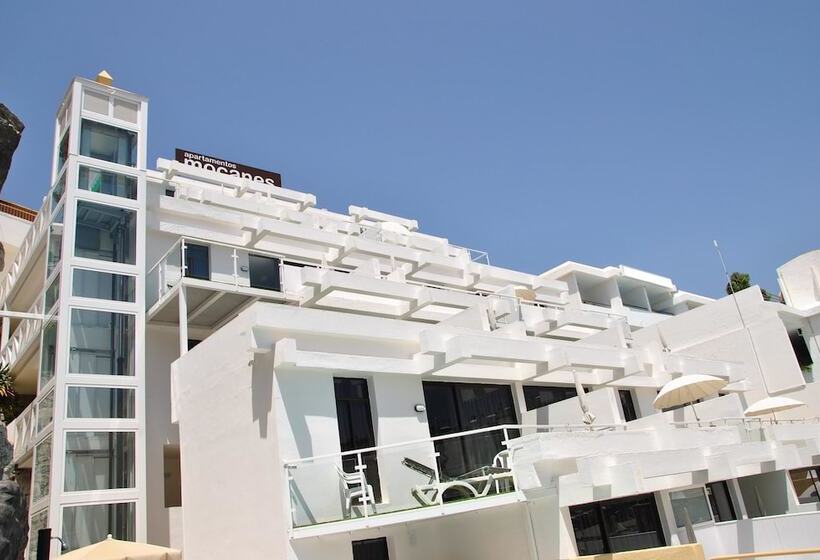 Apartamentos Los Mocanes