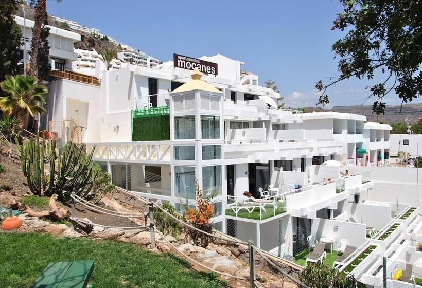 Apartamentos Los Mocanes