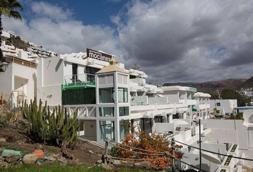 Apartamentos Los Mocanes