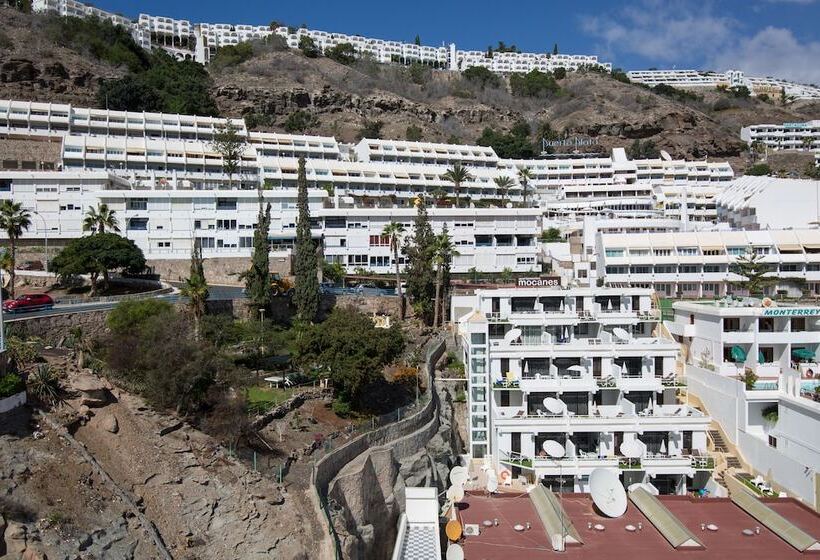 Apartamentos Los Mocanes