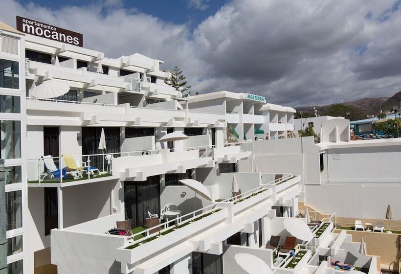 Apartamentos Los Mocanes