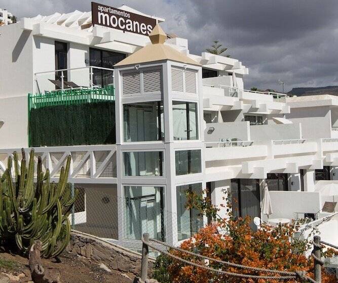 Apartamentos Los Mocanes